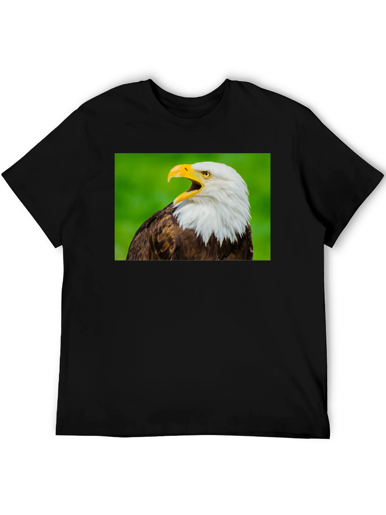 Bald Eagle Graphic Tee - Patriotic Bird Lover