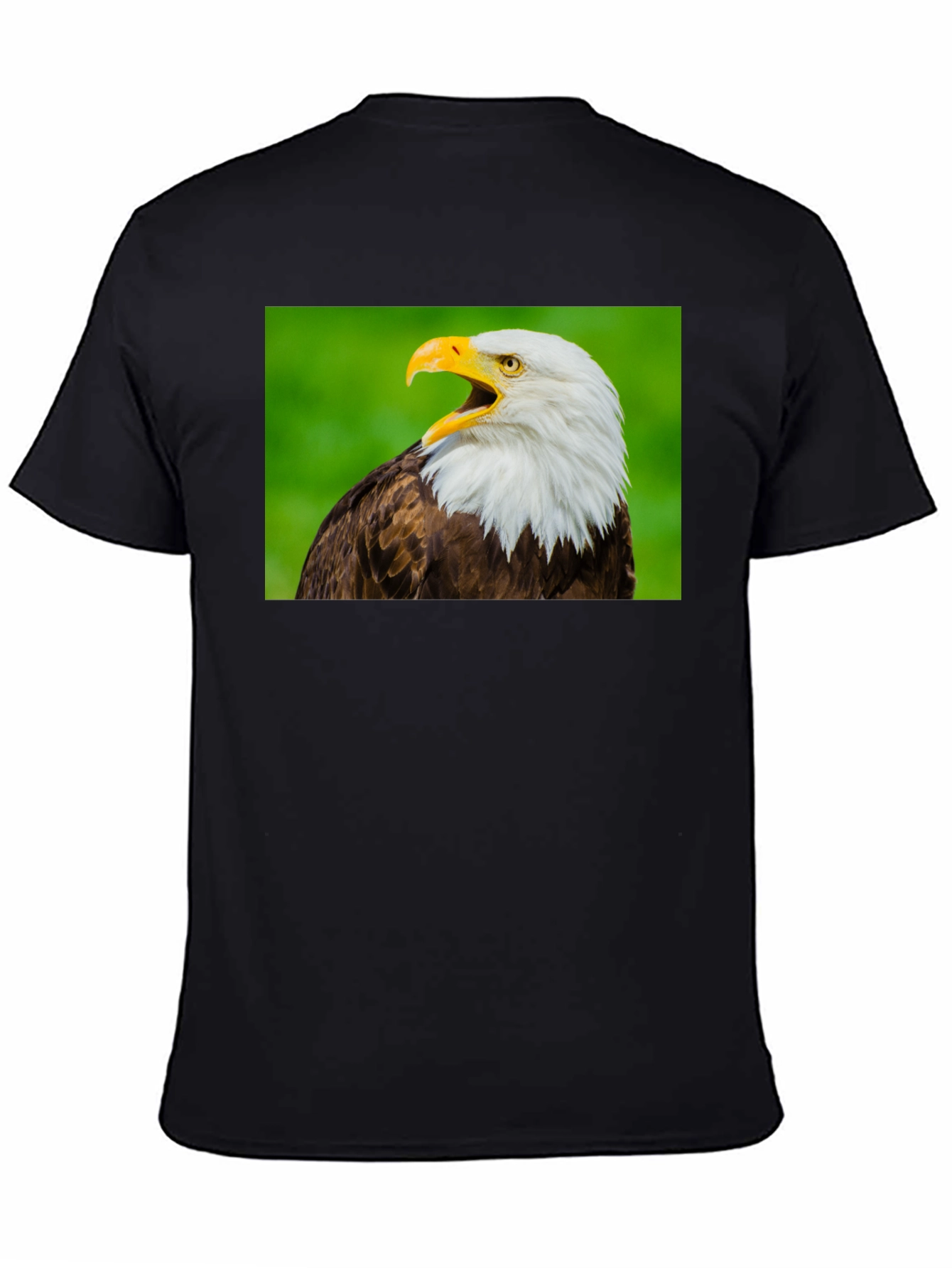 Bald Eagle Graphic Tee - Patriotic Bird Lover