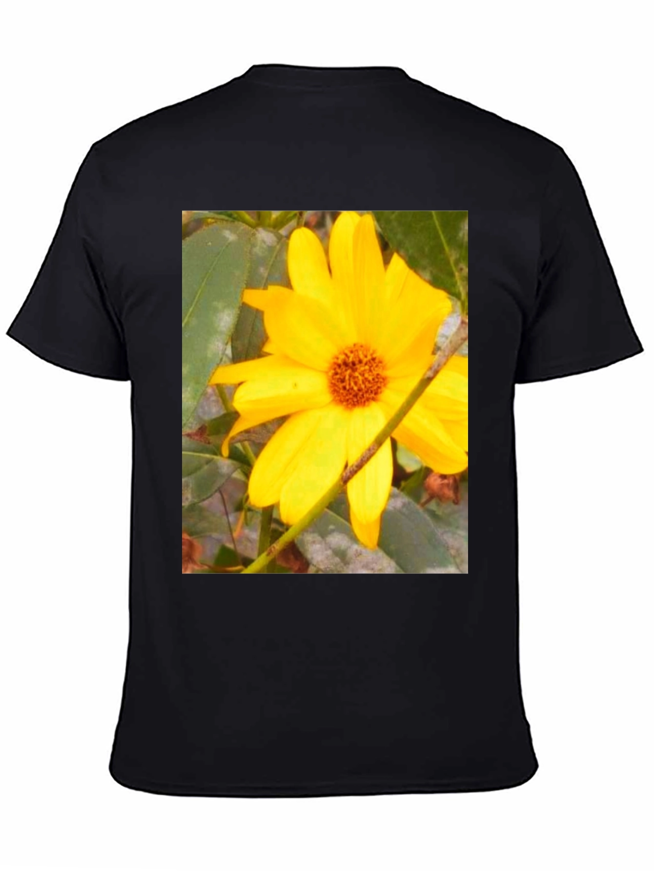 Sunflower Print Black T-Shirt