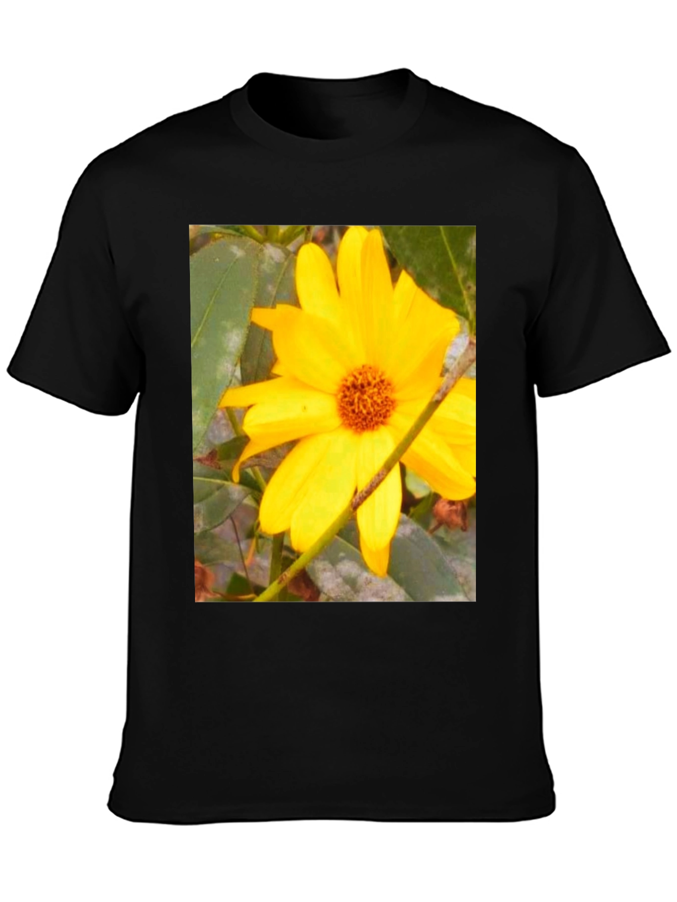 Sunflower Print Black T-Shirt