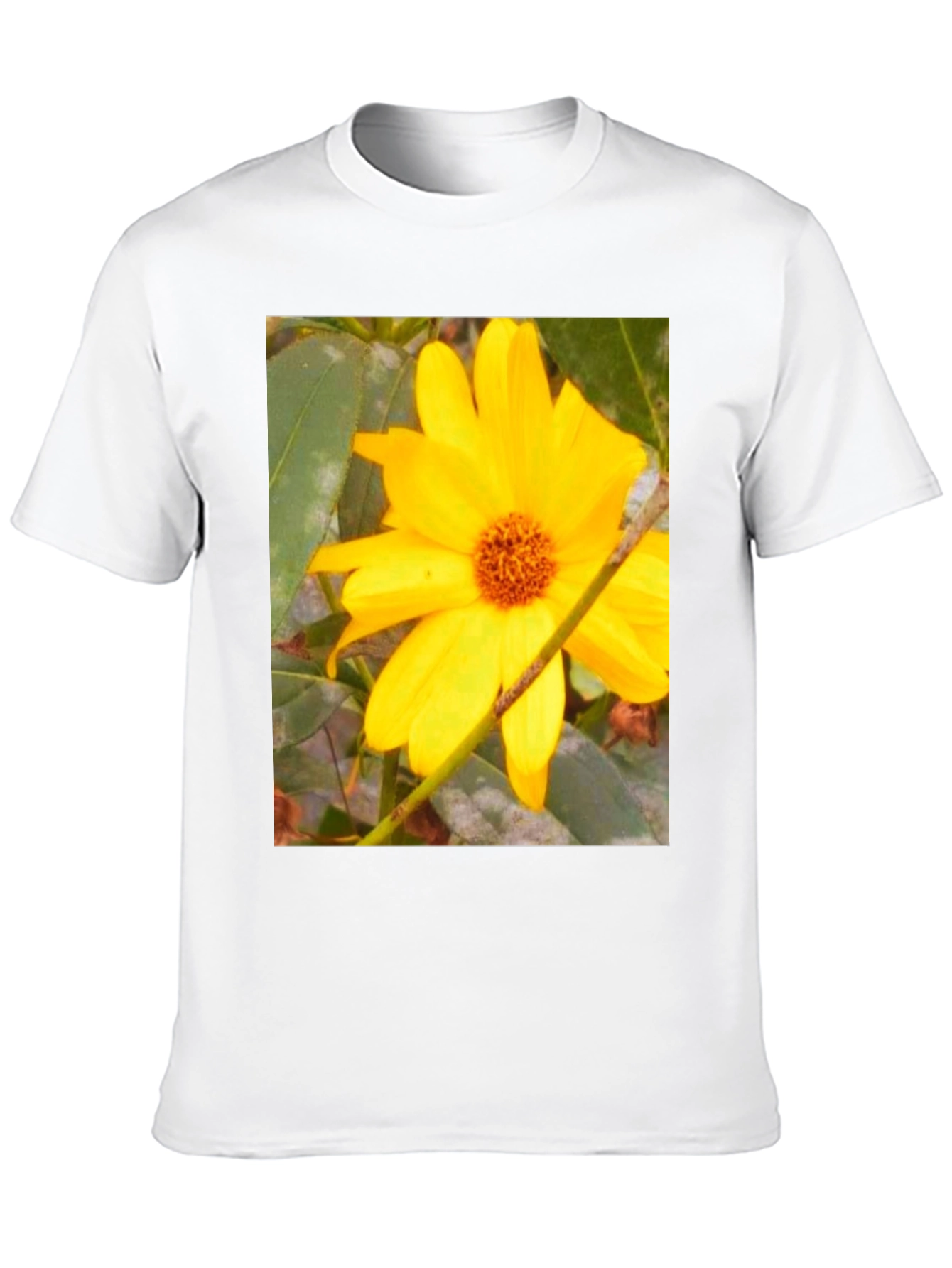 Sunflower Print Black T-Shirt