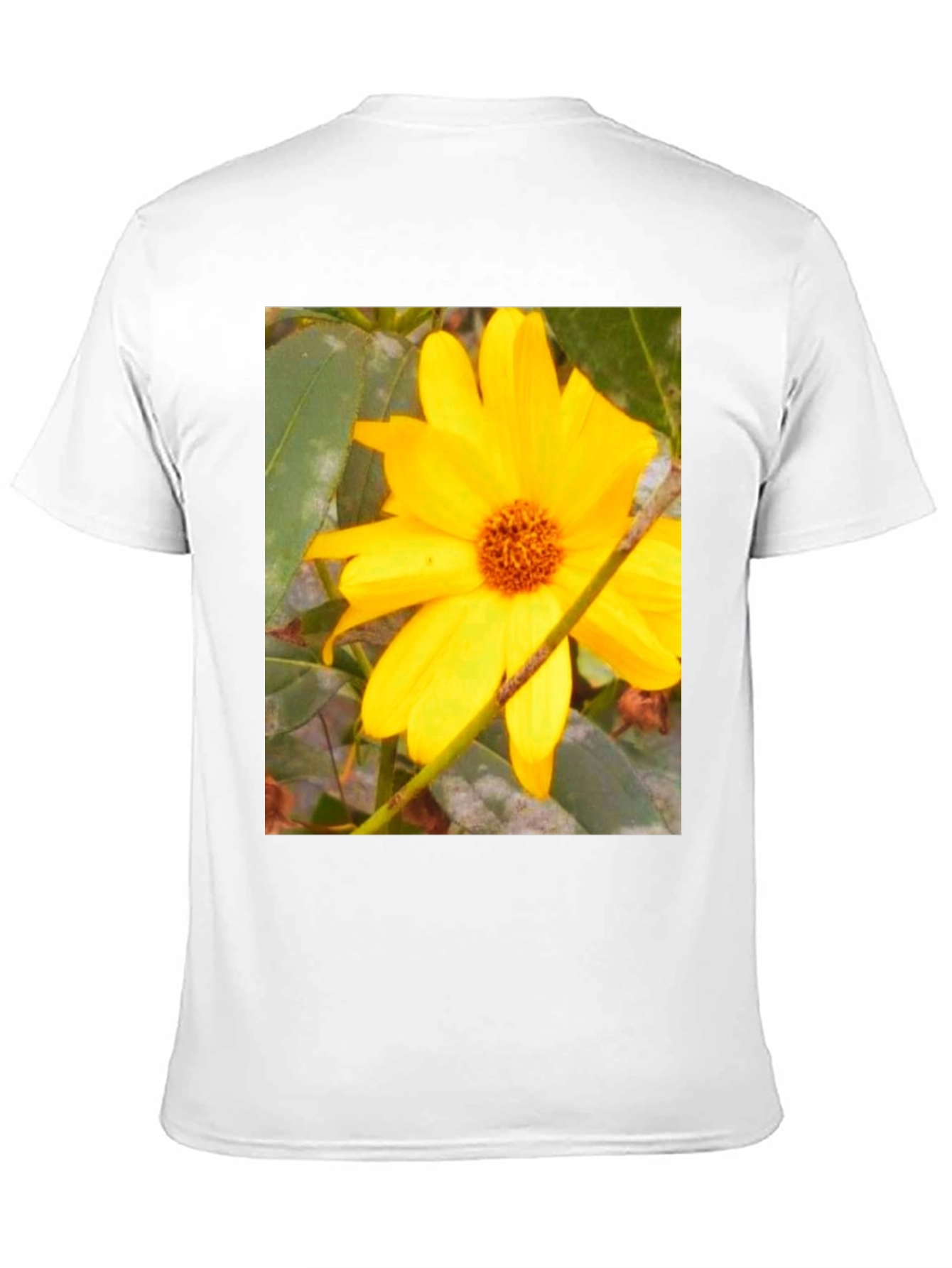 Sunflower Print Black T-Shirt