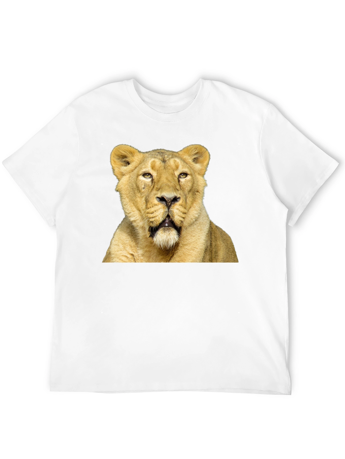 Lion Graphic T-Shirt - Black Cotton Tee