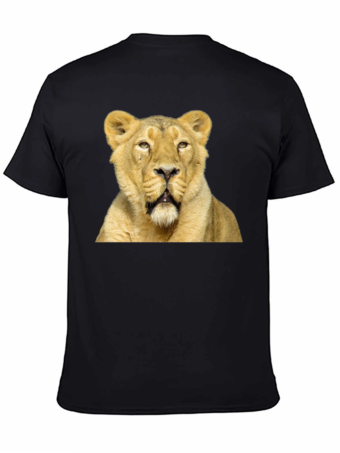 Lion Graphic T-Shirt - Black Cotton Tee