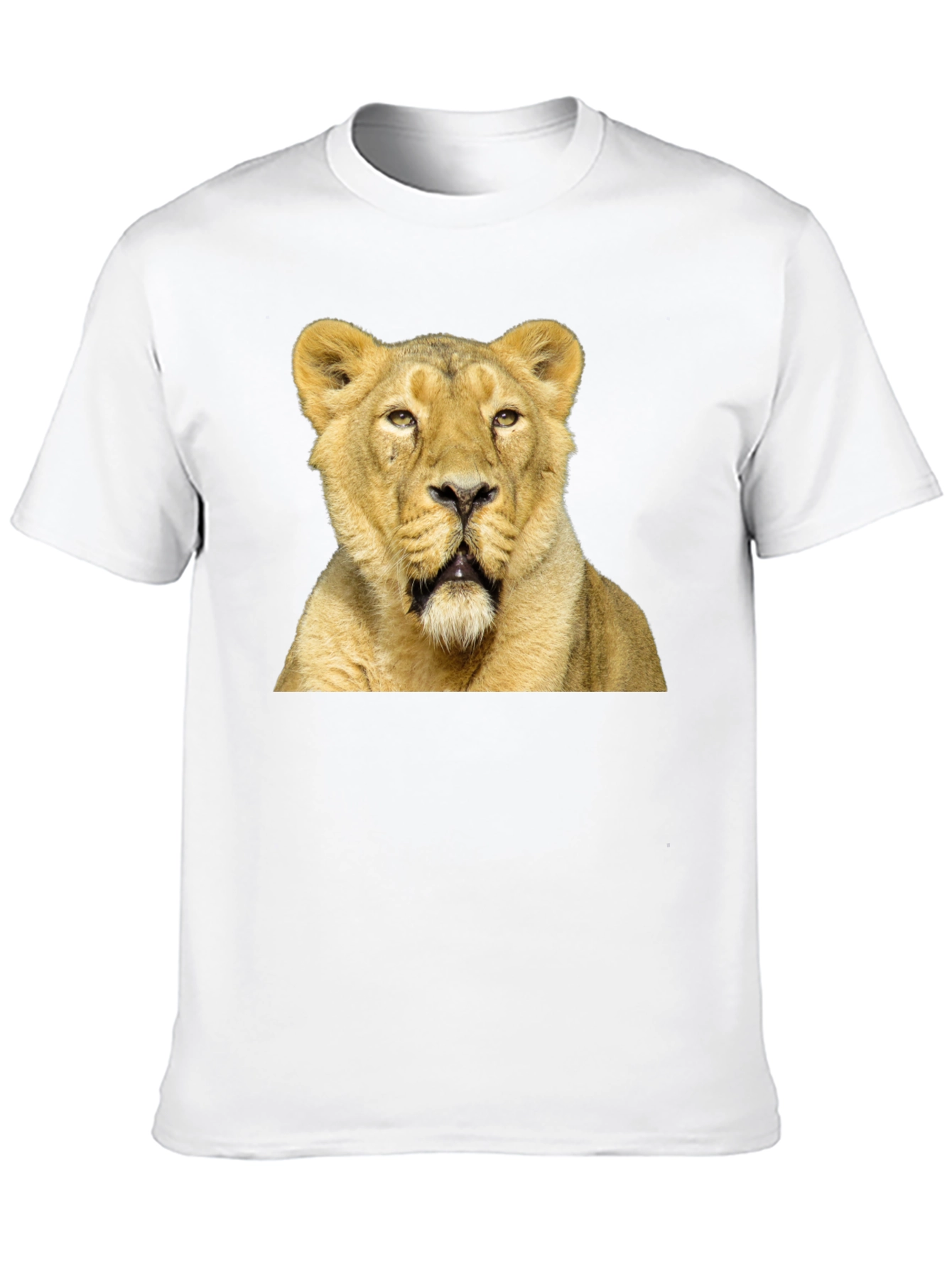 Lion Graphic T-Shirt - Black Cotton Tee