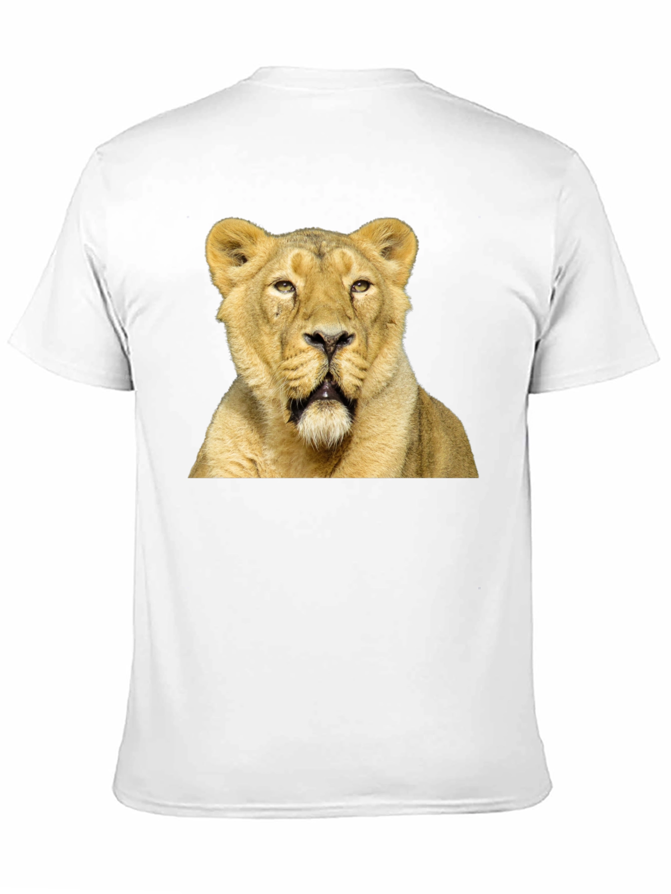 Lion Graphic T-Shirt - Black Cotton Tee