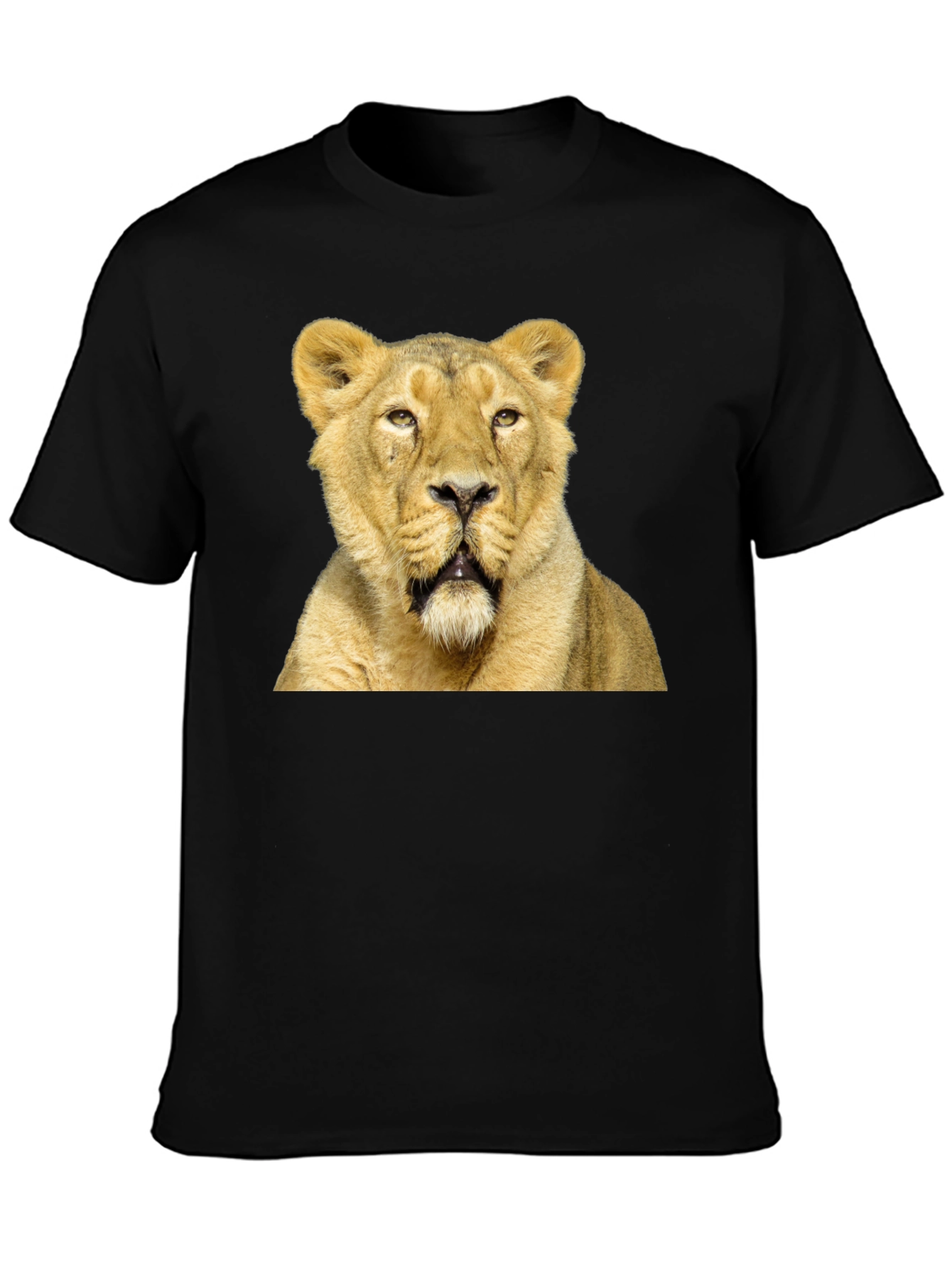 Lion Graphic T-Shirt - Black Cotton Tee