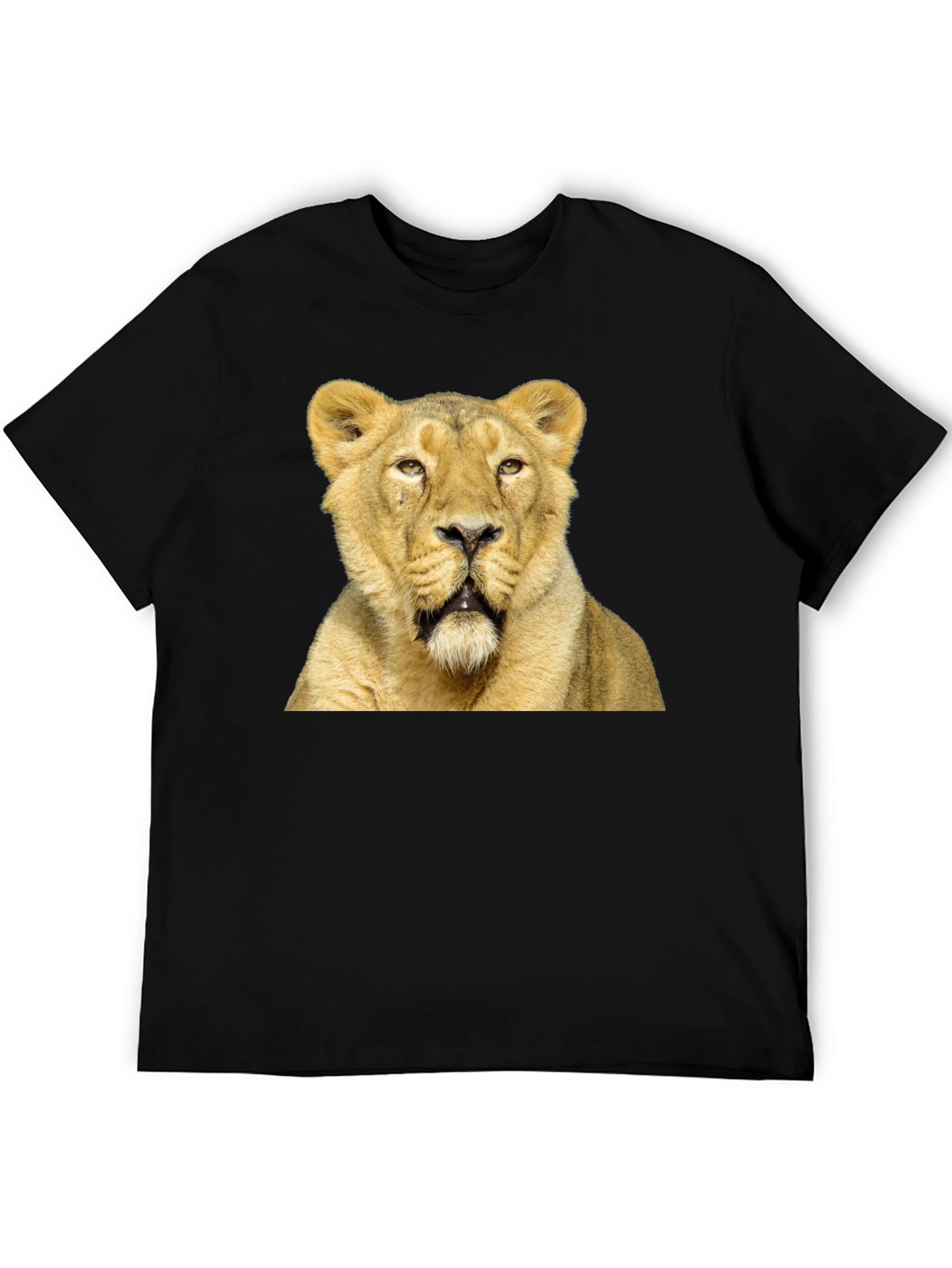Lion Graphic T-Shirt - Black Cotton Tee