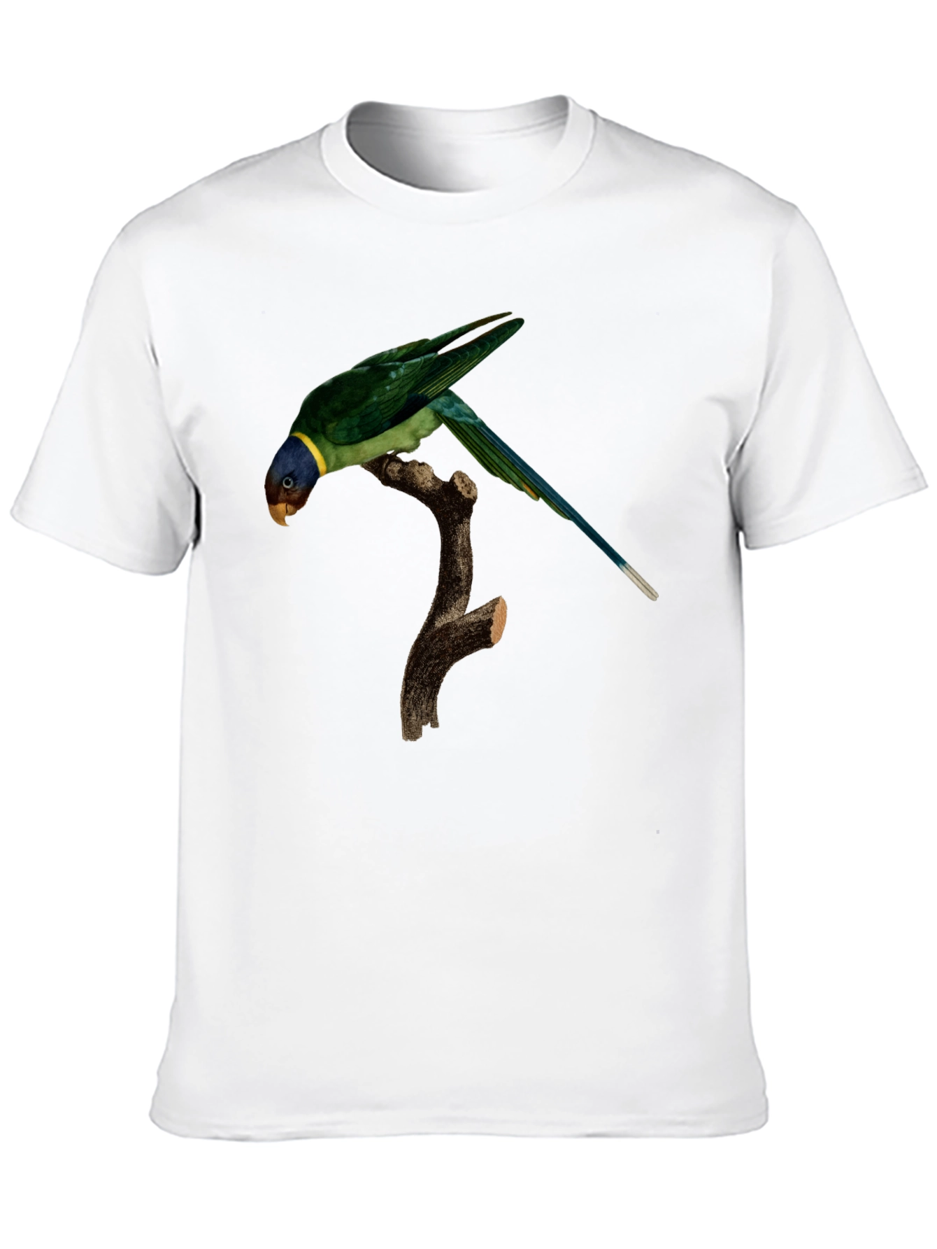 Parrot Graphic T-Shirt - Unique Bird Print