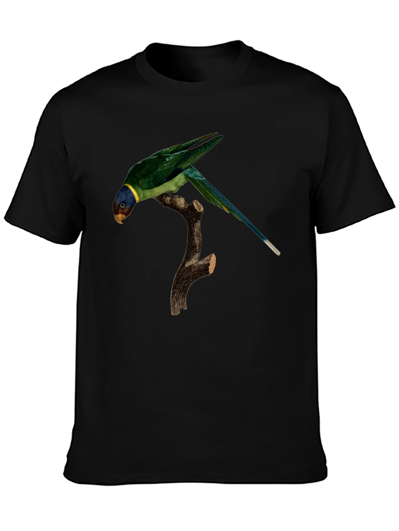 Parrot Graphic T-Shirt - Unique Bird Print
