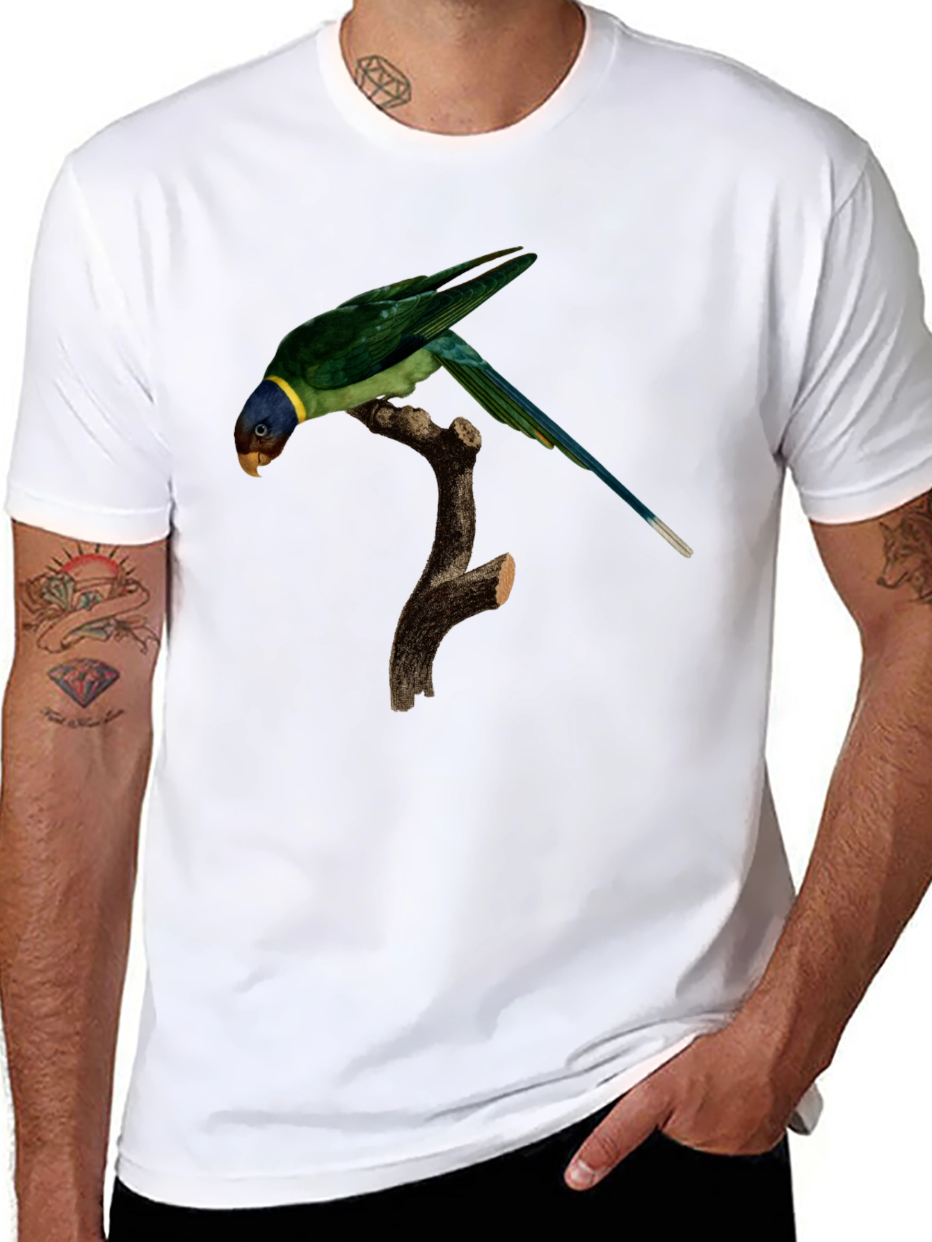 Parrot Graphic T-Shirt - Unique Bird Print