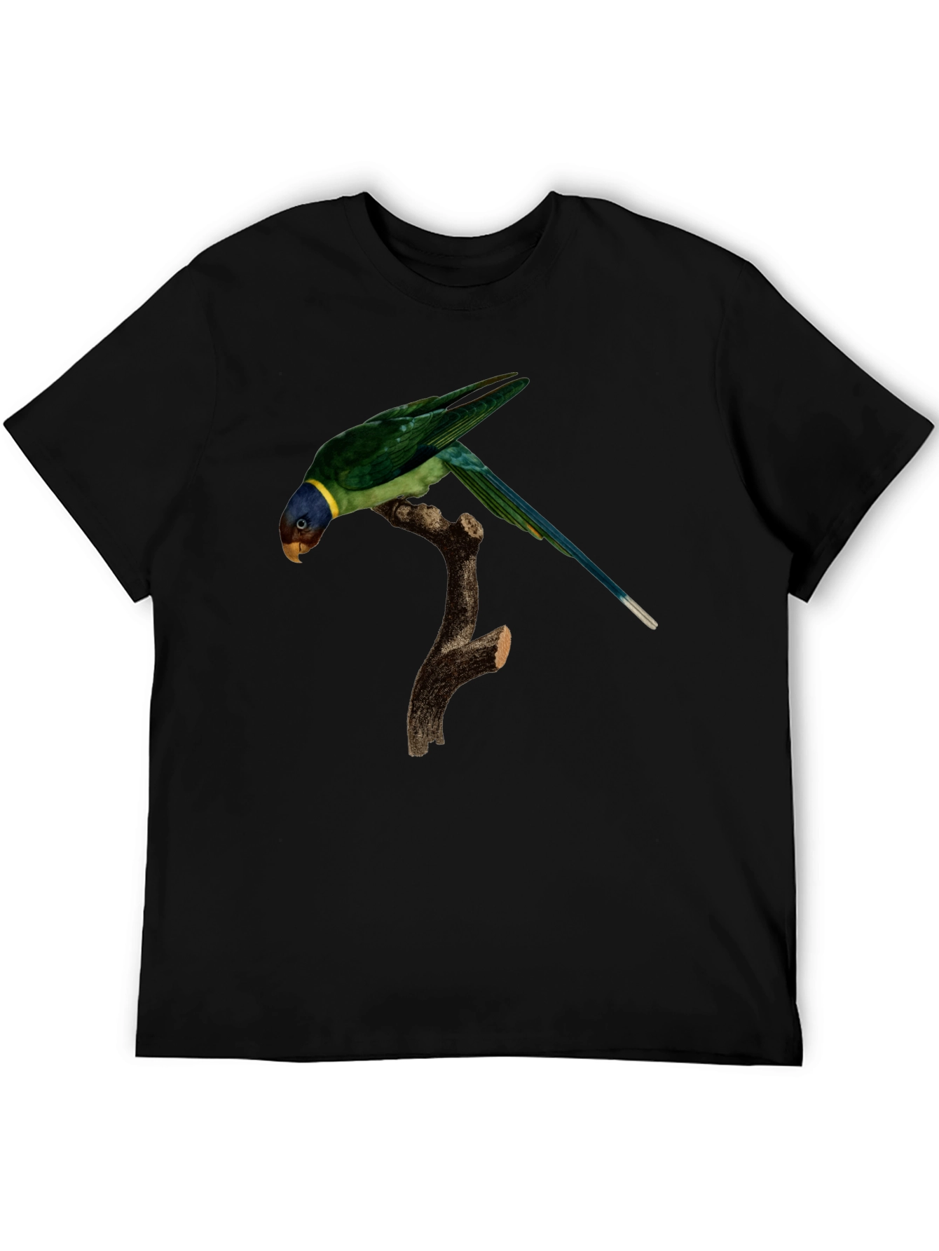 Parrot Graphic T-Shirt - Unique Bird Print