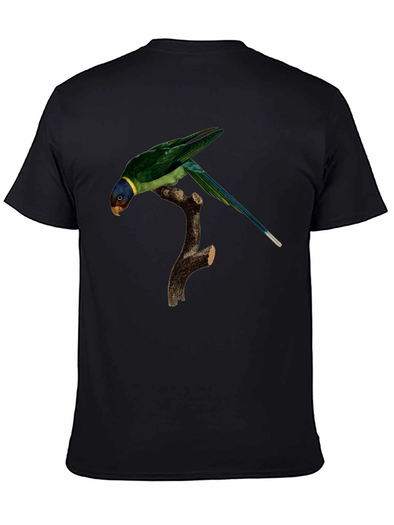 Parrot Graphic T-Shirt - Unique Bird Print