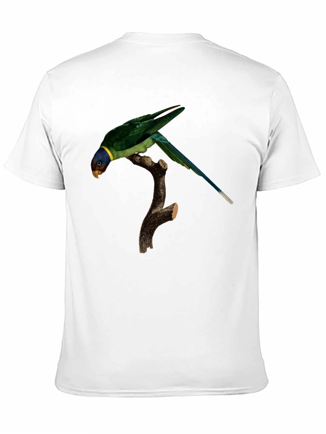 Parrot Graphic T-Shirt - Unique Bird Print