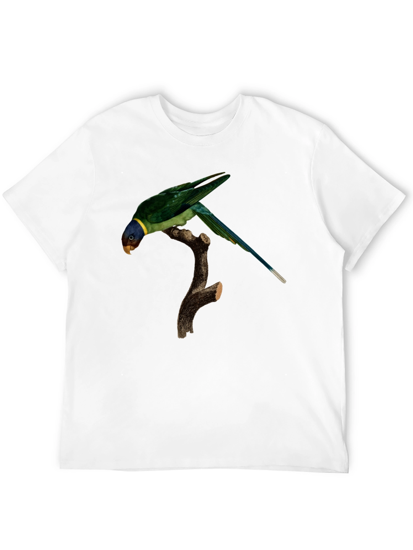 Parrot Graphic T-Shirt - Unique Bird Print