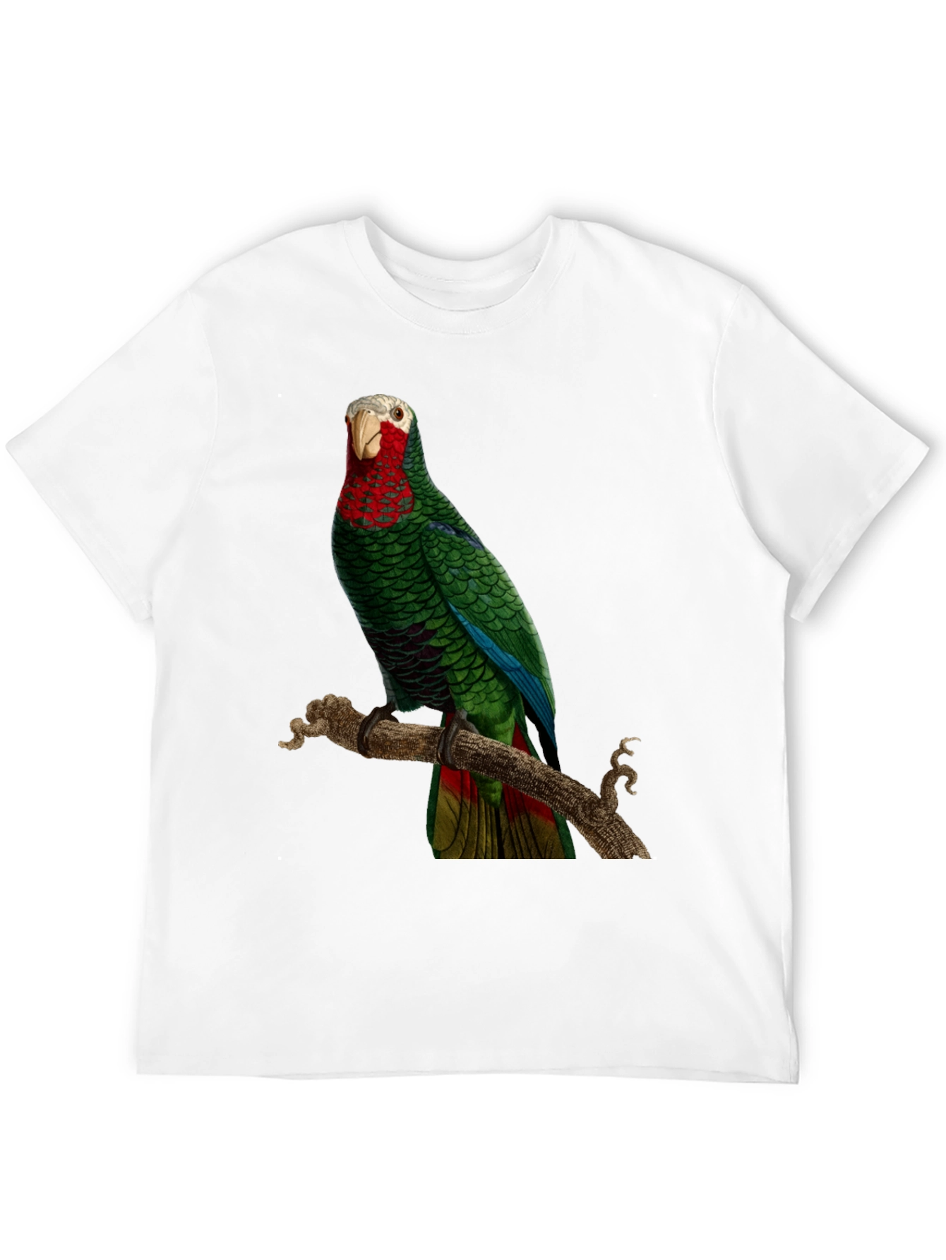 Parrot Graphic T-Shirt - Green Bird Design