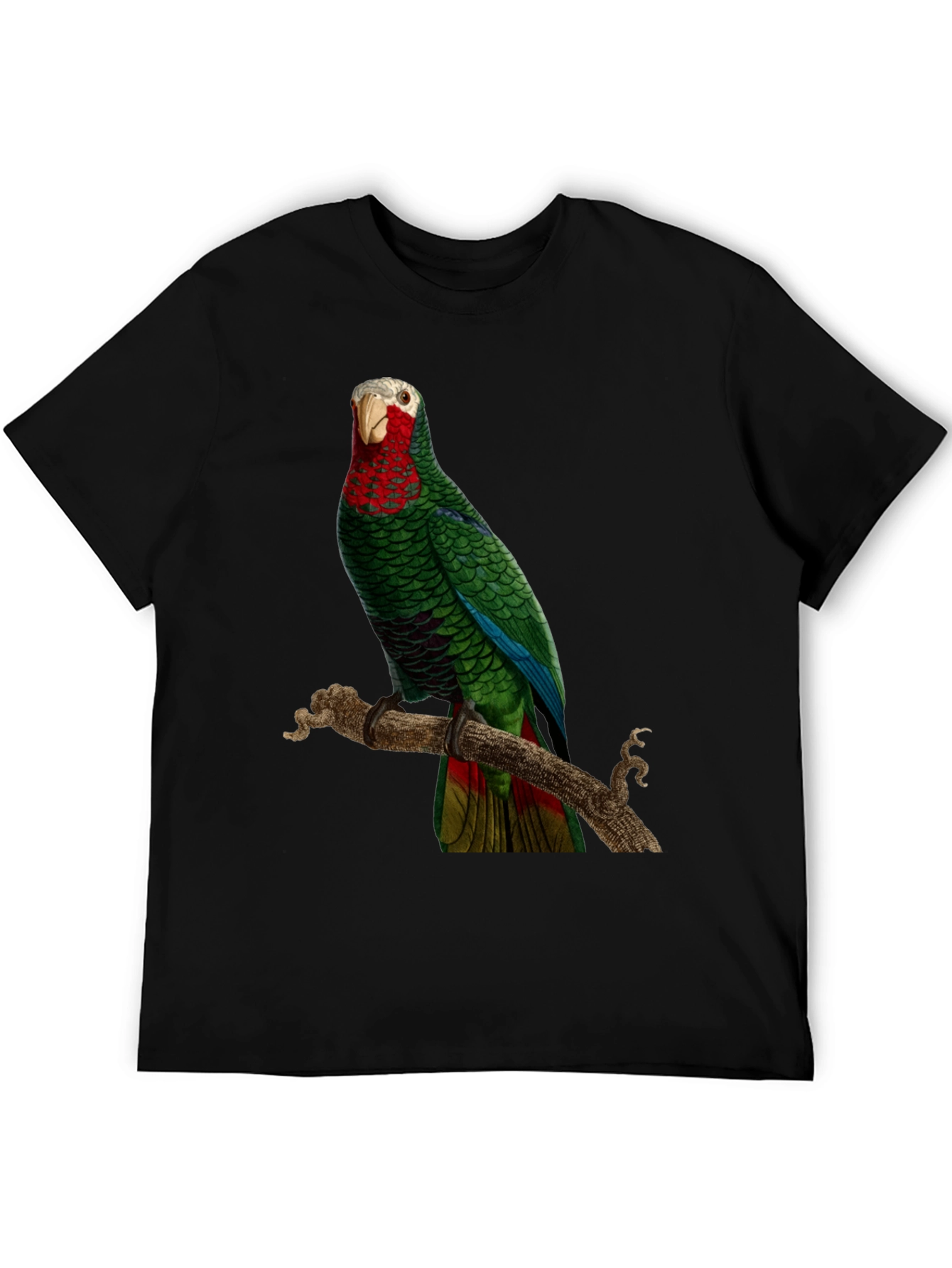 Parrot Graphic T-Shirt - Green Bird Design