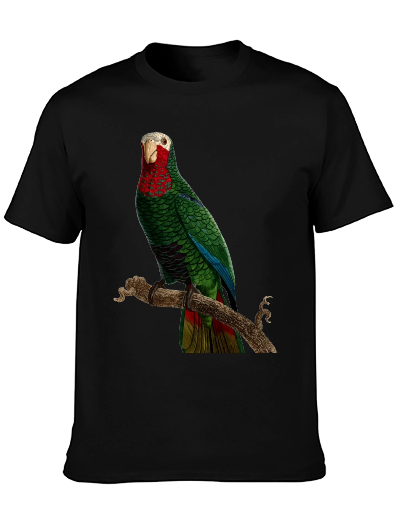 Parrot Graphic T-Shirt - Green Bird Design