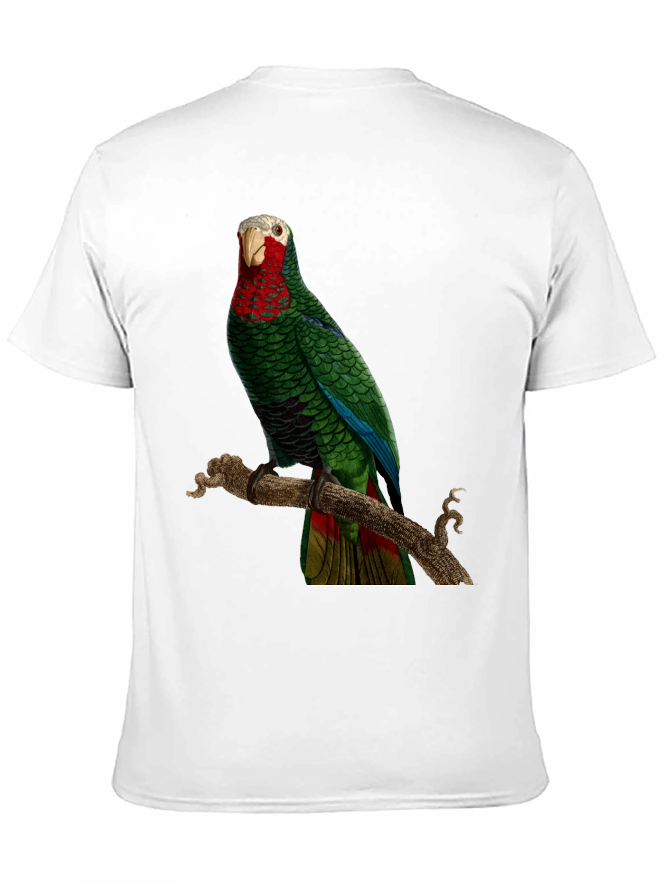 Parrot Graphic T-Shirt - Green Bird Design