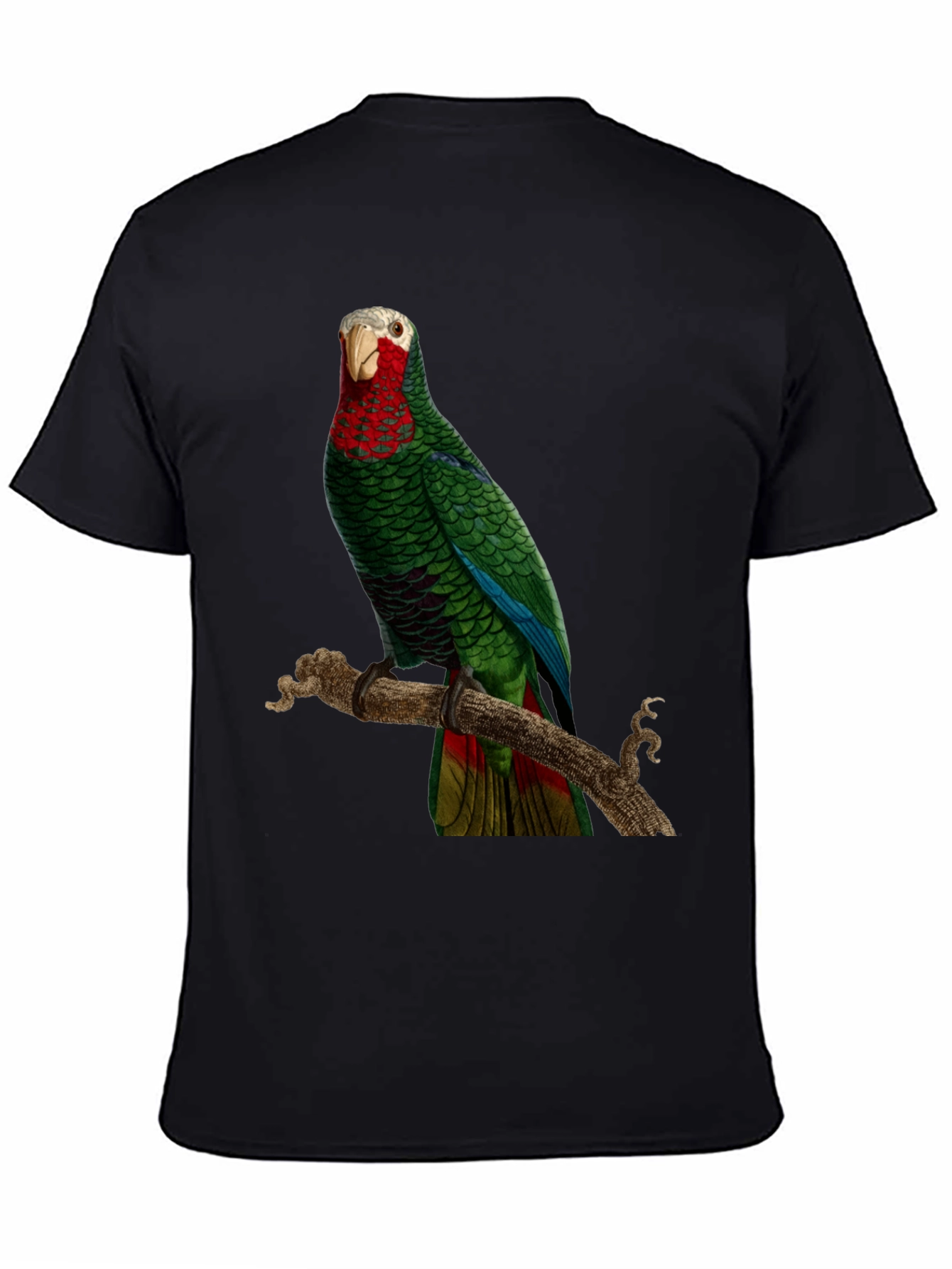 Parrot Graphic T-Shirt - Green Bird Design