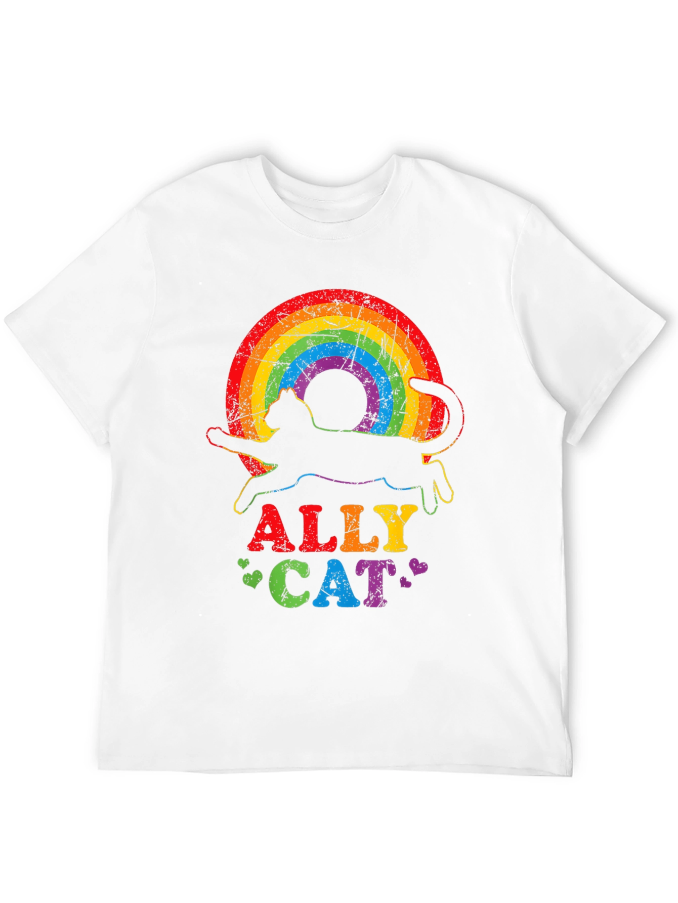 Ally Cat Rainbow T-Shirt